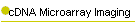 cDNA Microarray Imaging