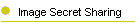 Image Secret Sharing